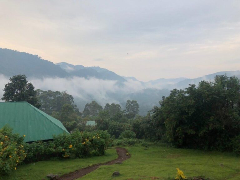 CTPH Gorilla Conservation Camp