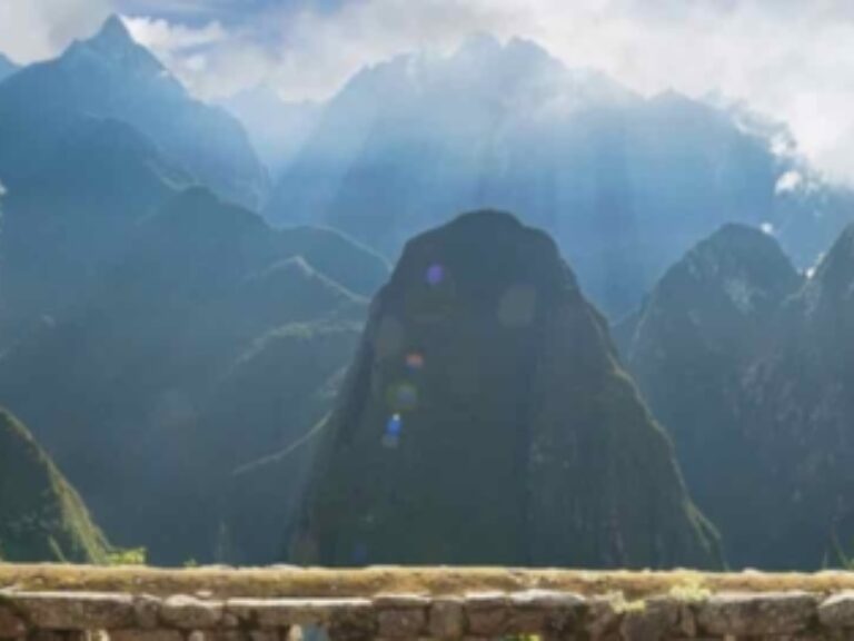 The Latin America Travel Company