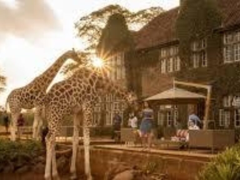 Discover Africa Safaris