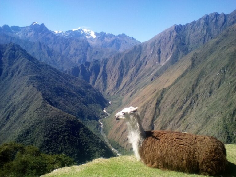 Evolution Treks Peru
