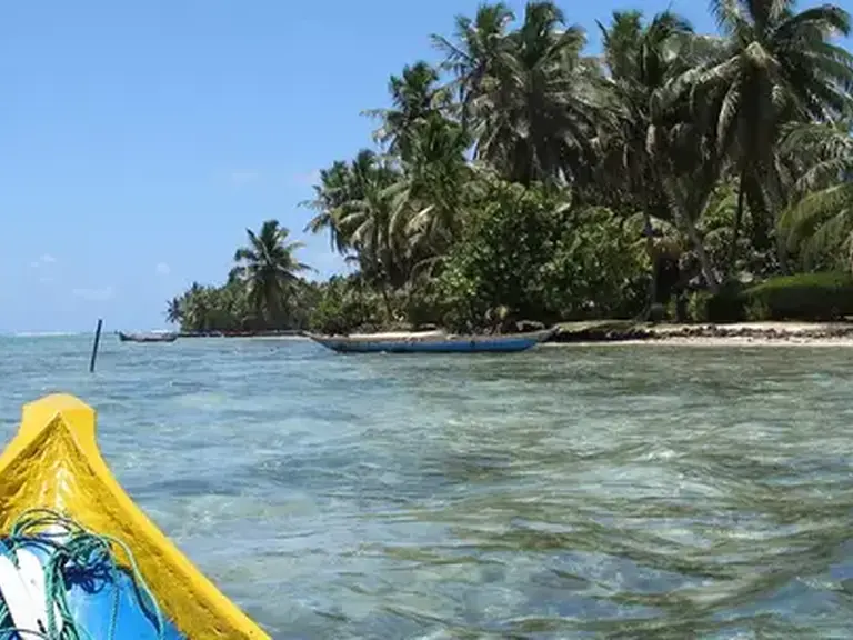 Fosa Travel