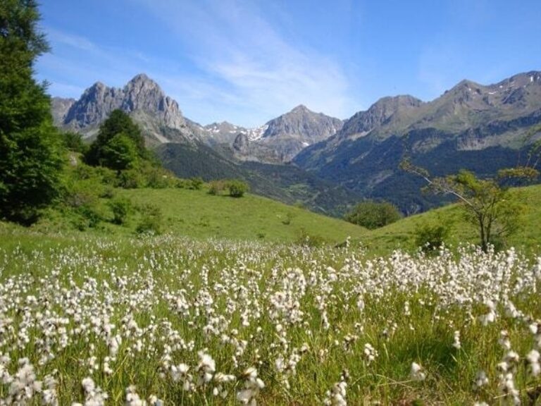 Hike Pyrenees