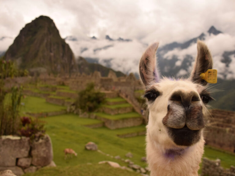 Apus Peru