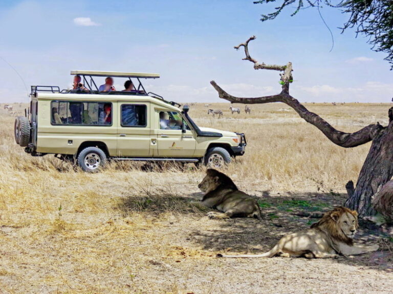 African Sermon Safaris
