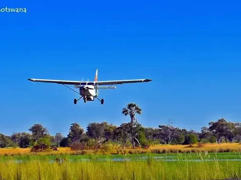 Lelobu Safaris
