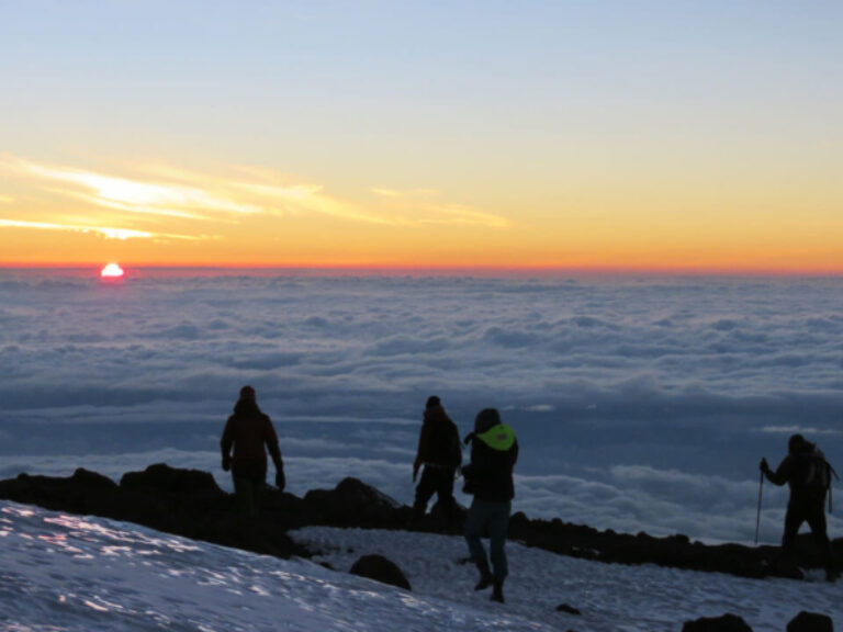 Pinnacle Adventures & Safaris