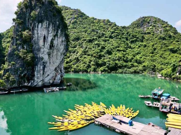 Mr Linh's Adventures