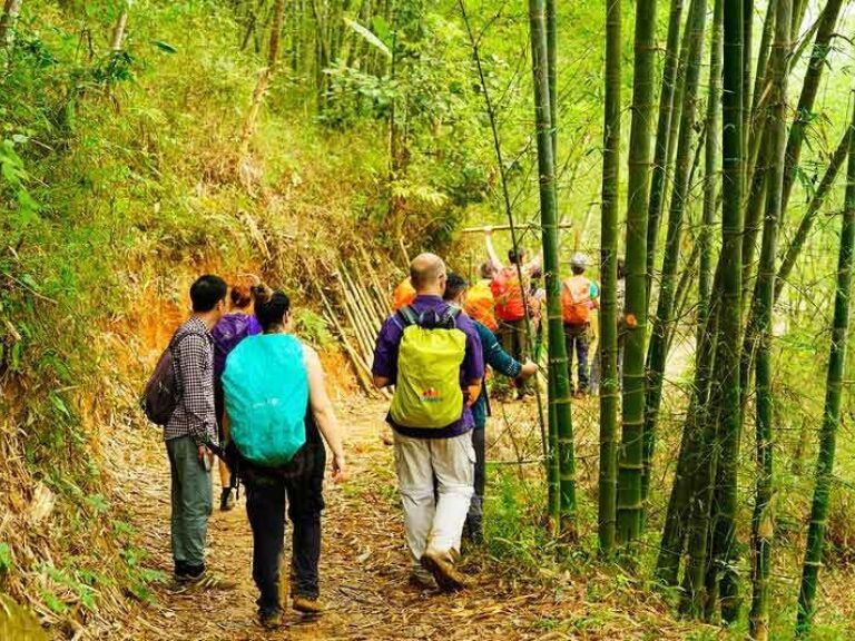 Mr Linh's Adventures