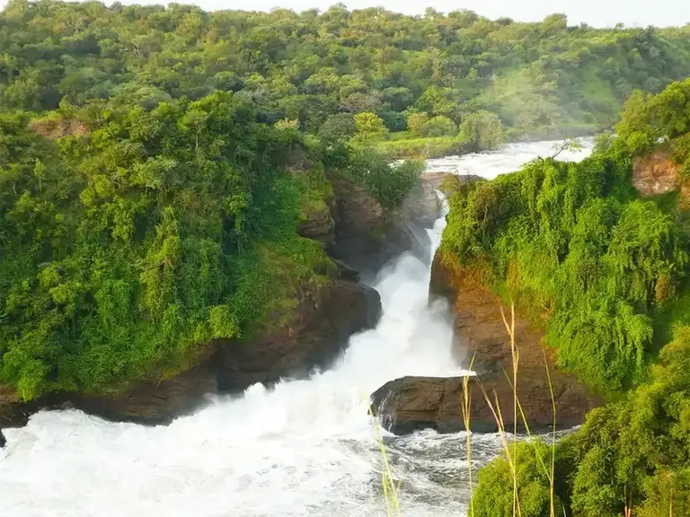 Musana Tours & Travel