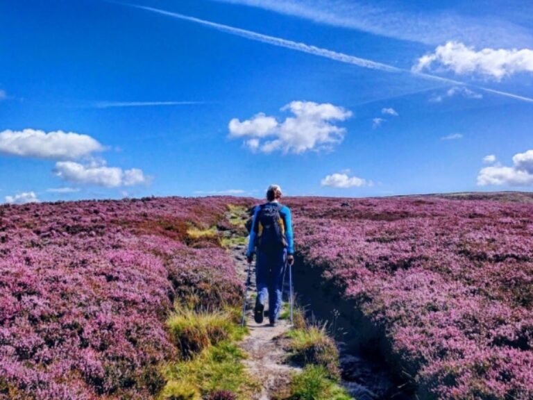 myGuidedWalks