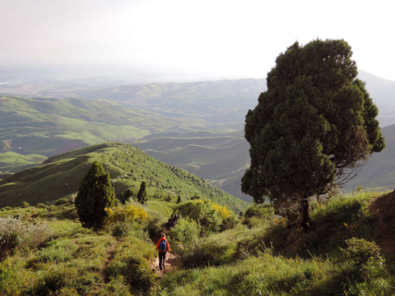 Hidden gems in Shirkent National Park