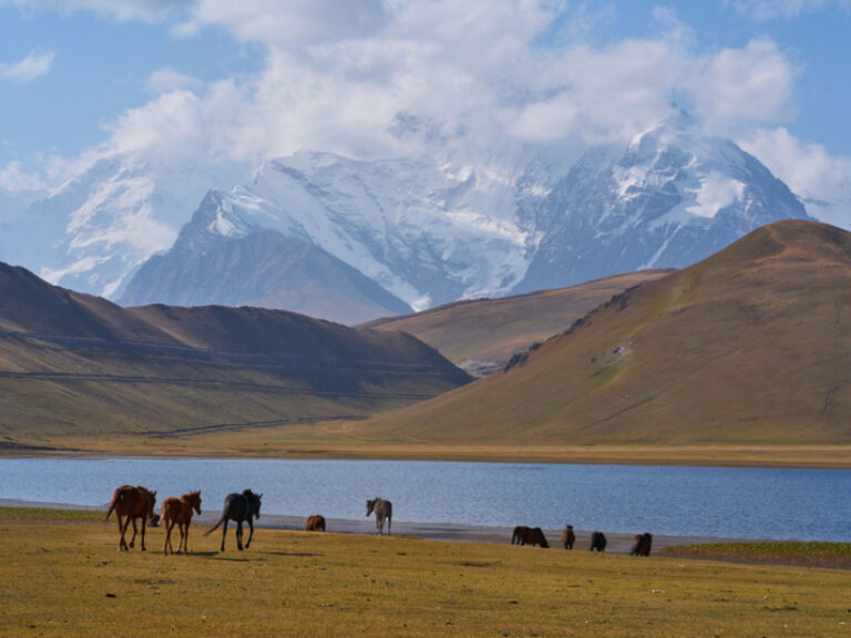 Paramount Journey