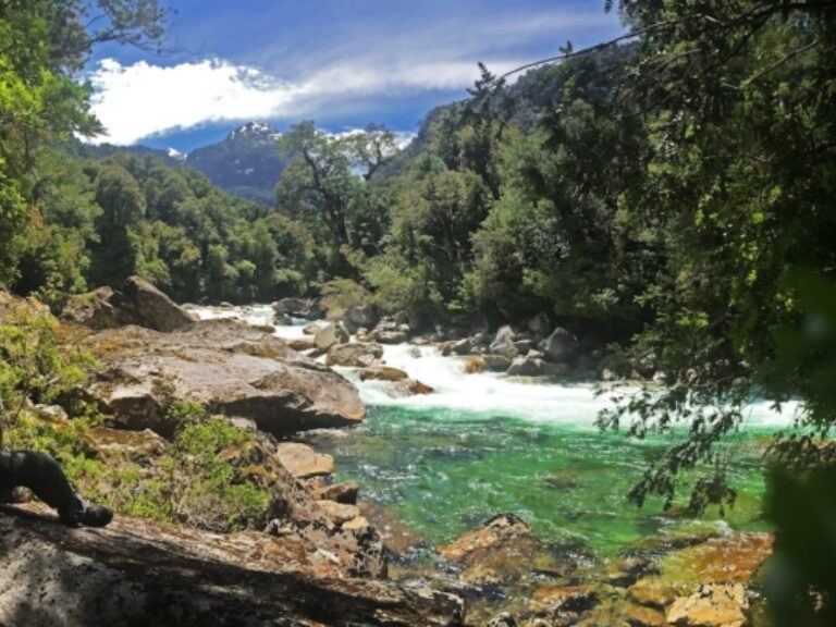 Patagonia Trails