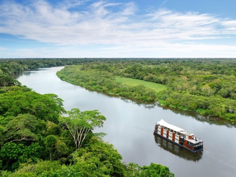 Rainforest Cruises