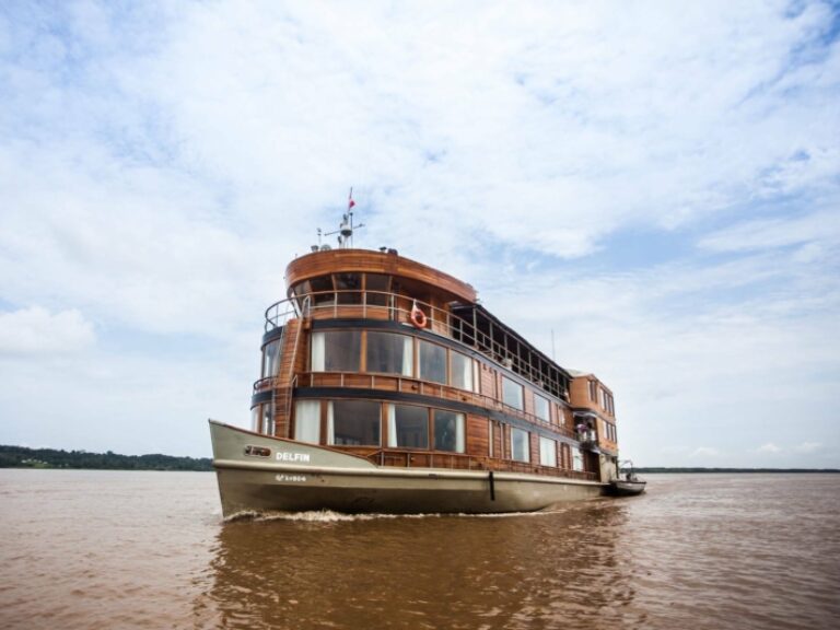 Rainforest Cruises