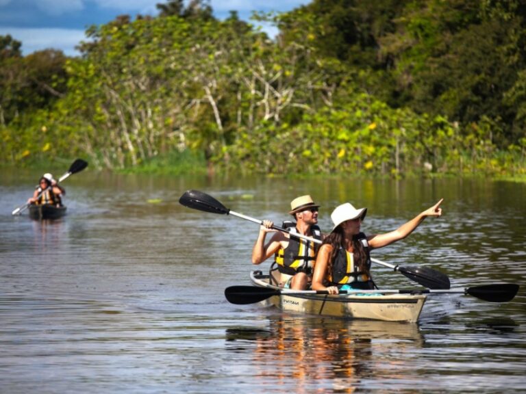 Rainforest Cruises