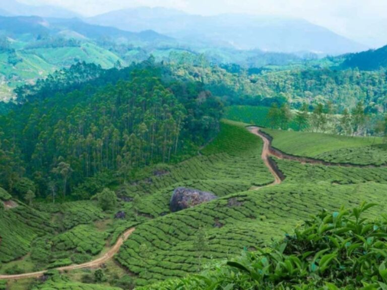 Reality Tours and Travel