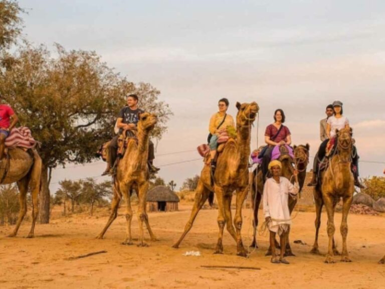 Reality Tours and Travel