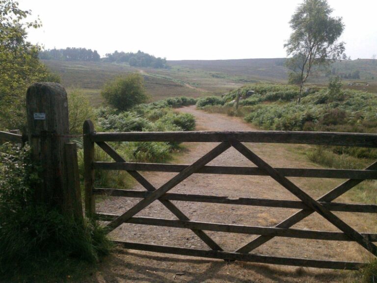 Shepherds Walks Holidays