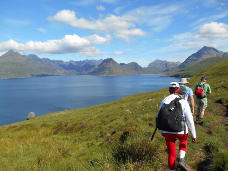 Thistle Trekking