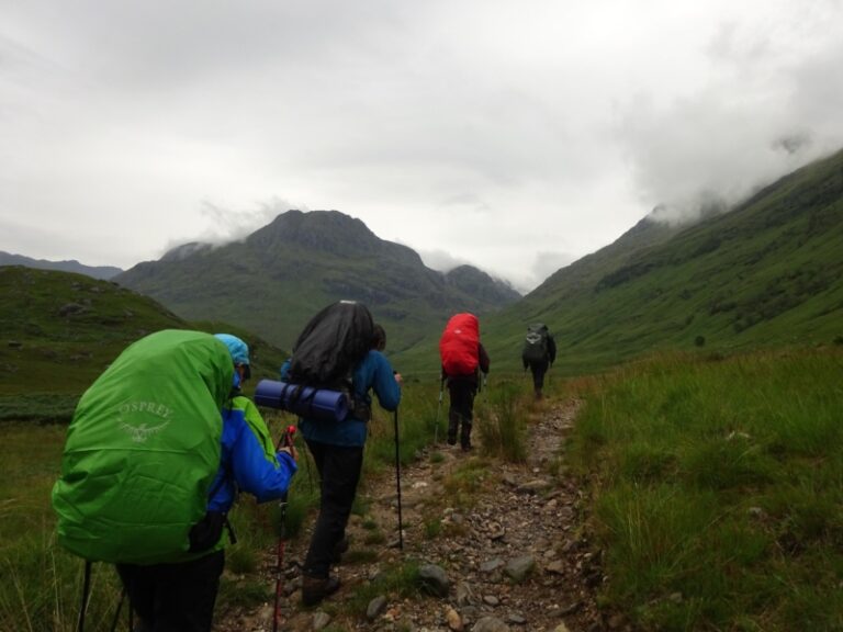 Thistle Trekking