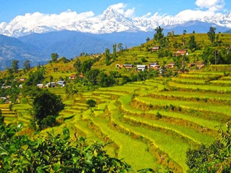 Thunphel Bhutan Travels