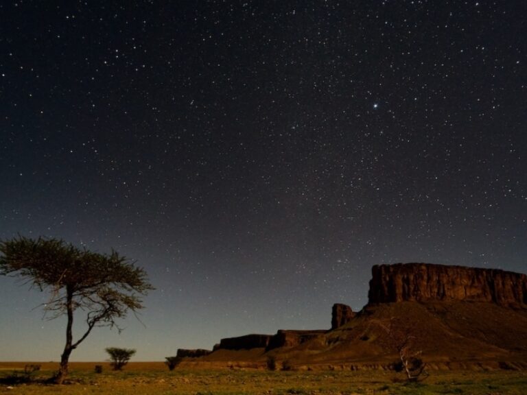 Wild Morocco