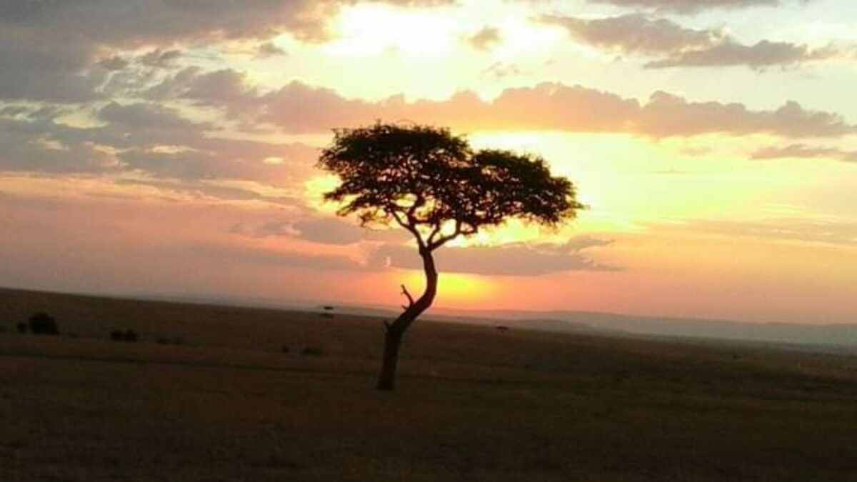 Glorious Masai Mara Sunsets Kenya safari tours jpeg
