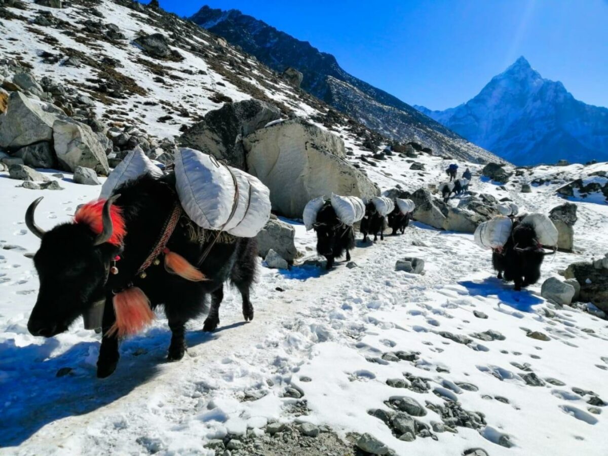 Nepal Trekking Routes 2