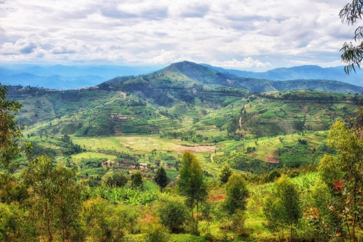 Rwanda Ngungwe landsacpe