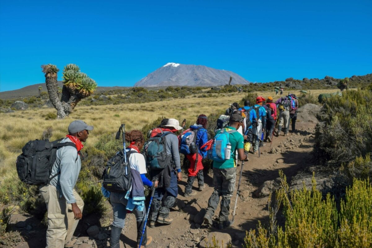 Tanzania Kilimanjaro hiking3