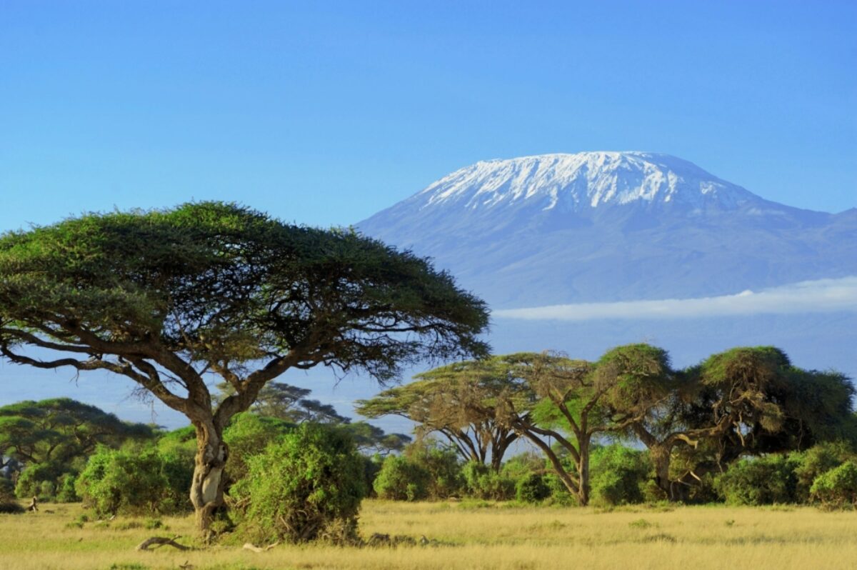 Tanzania Kilimanjaro lowres