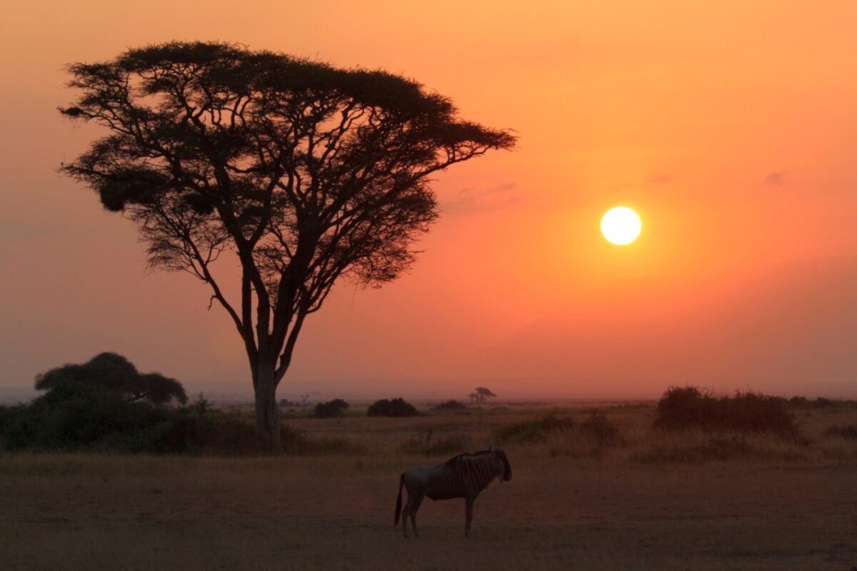 Africa kenya 3 day amboseli safari tour sunset jpeg