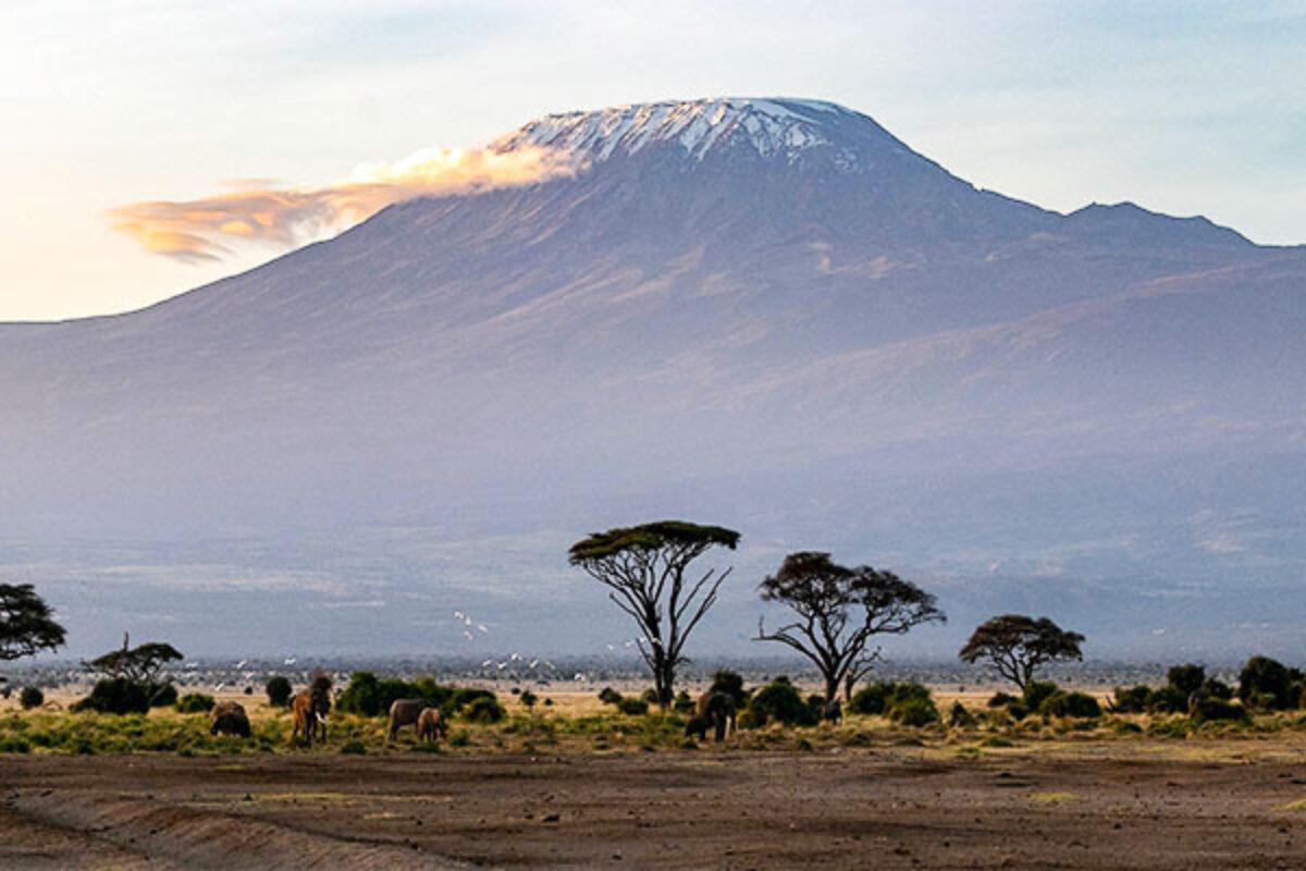 Amboseli kilimanjaro view amet