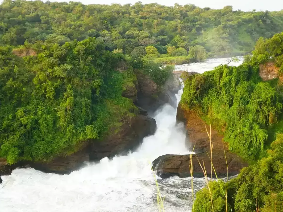 Musana Murchison falls national park