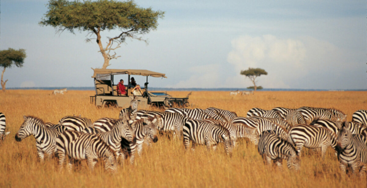 Samburu national park dael tours 1