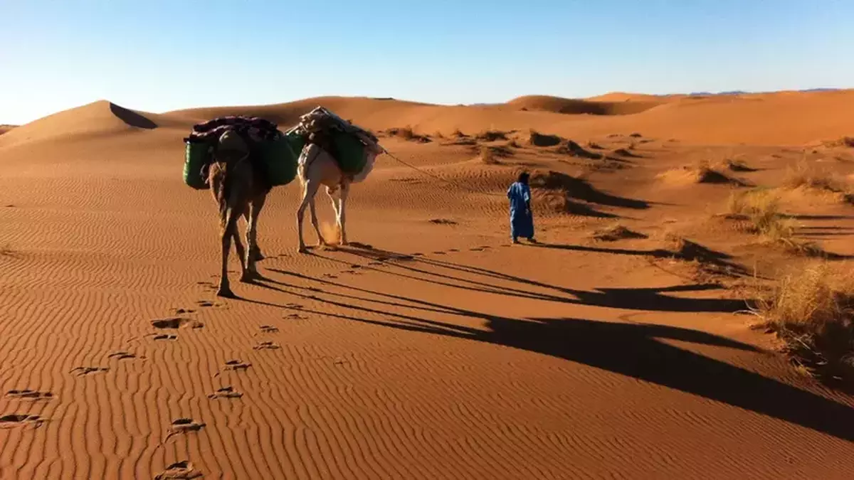 Wild morocco 2 1 2 trek sahara 3 great dunes 5