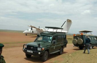 Masai Mara Fly-In Safari - 3 Days