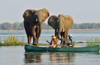 Zambezi Canoeing & Kafue National Park