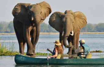 Zambezi Canoeing & Kafue National Park