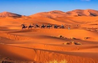 Camel Trekking in Morocco