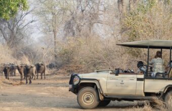 7 Days Classic Zambian Bush & River Experience