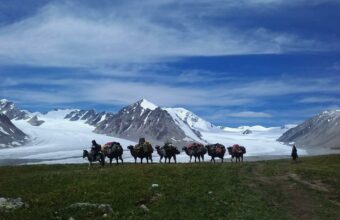 Altai Wilderness Trails