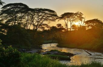 The Ultimate Uganda Private Safari