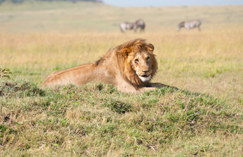 Mara North Conservancy