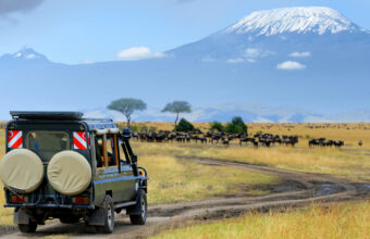 Highlights Of Kenya Group Safari