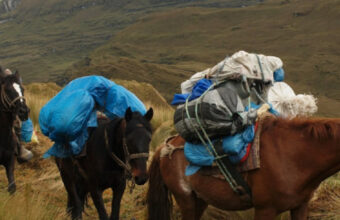 Northern Peru Horseback Riding Trek