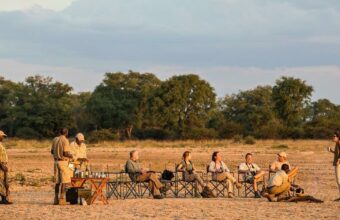 Discover Luangwa & Luambe National Parks