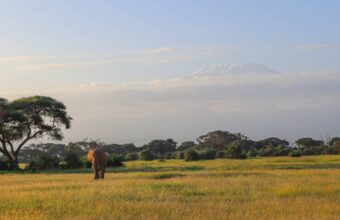 6 Day Kenya Safari