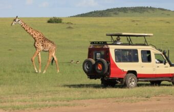 Classic Kenya Safari
